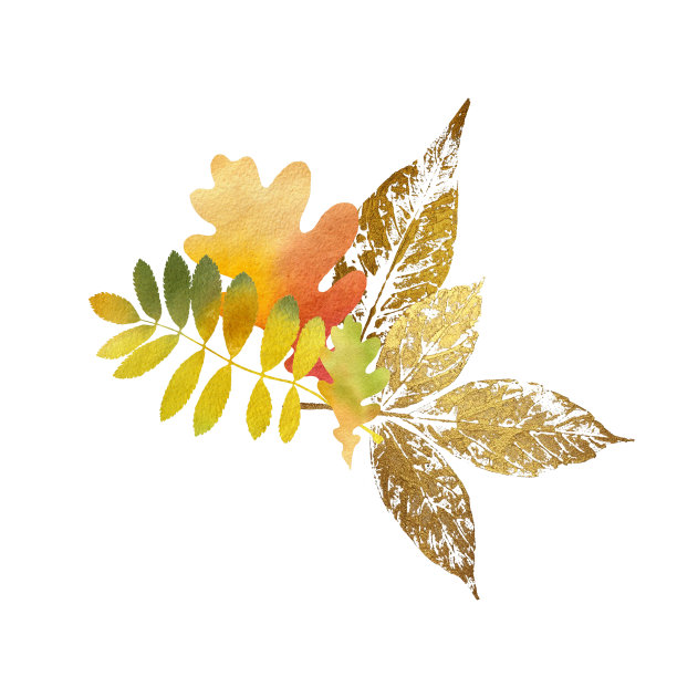 秋叶花图案图片下载