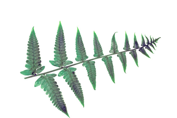 成人，背景，护理，休闲，椅子，清洁，特写，概念，复制，残疾，残疾，设备，友谊，团体，家伙，手，残疾，残疾，协调，保健，持有，医院，工业，生活方式，机器，男性，男性，医疗，金属图片下载