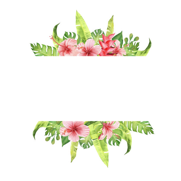 粉红色的热带花朵和叶子图片下载