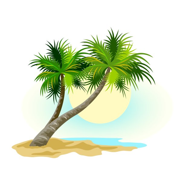 热带景观，阳光灿烂的天空，沙滩上的棕榈树。暑假去热带图片下载