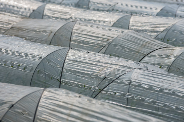 用塑料薄膜保护的有机农田图片下载