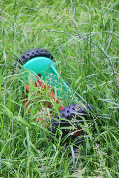 杂草丛生的花园草坪通过生锈的推式割草机长出长长的草籽头，花园草坪需要园丁修剪、切割、用汽油/电动割草机修剪、除草剂化肥、杂草和饲料处理图片下载