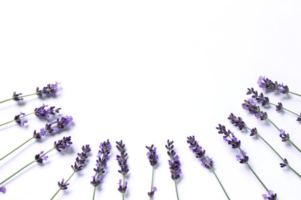 温柔祝福的地方图片下载