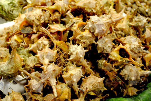 西班牙巴塞罗那的鱼市图片下载