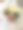 大喜的日子……图片下载