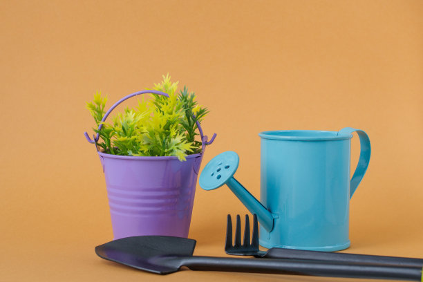 玩具蓝色喷壶，紫色桶与黄绿色的小枝，铲和耙子在一个橙色的背景。图片下载