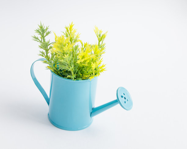 玩具蓝色喷壶与黄色绿色塑料枝在白色的背景。图片下载