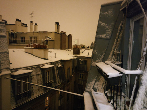 在法国巴黎的冬天，俯瞰积雪的屋顶和烟囱图片下载