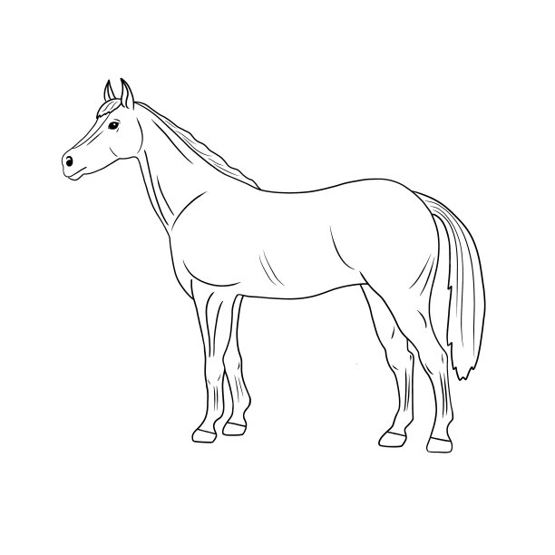 线艺术农场动物马轮廓插图孤立在白色的背景。一系列农场动物。图片下载