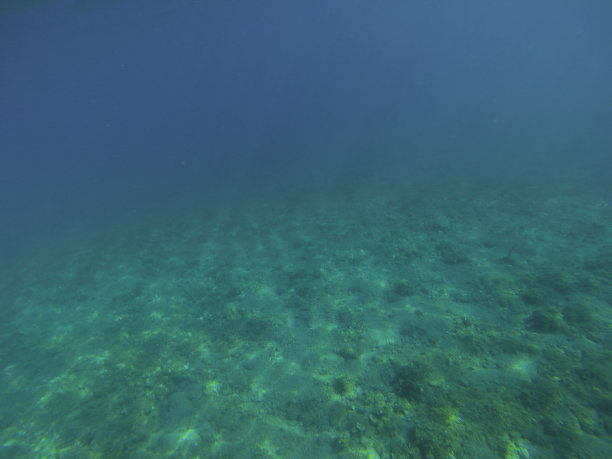 蓝色和绿色的水下背景图片下载