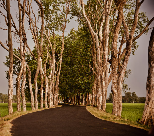 空旷的城市街道独特的照片图片下载