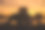 夕阳中的情侣图片下载