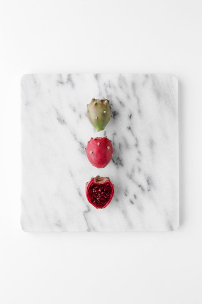 仙人球图片下载