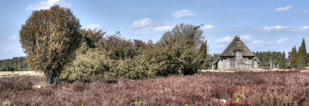 在Lüneburg Heath的羊圈图片下载