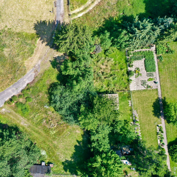 垂直的鸟瞰图，整洁的蔬菜patch被成排的树木和灌木丛，与田野路径对角线在图片。图片下载