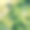 垂直的鸟瞰图，整洁的蔬菜patch被成排的树木和灌木丛，与田野路径对角线在图片。图片下载
