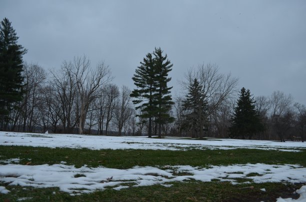 加拿大那边的尼亚加拉瀑布公园图片下载