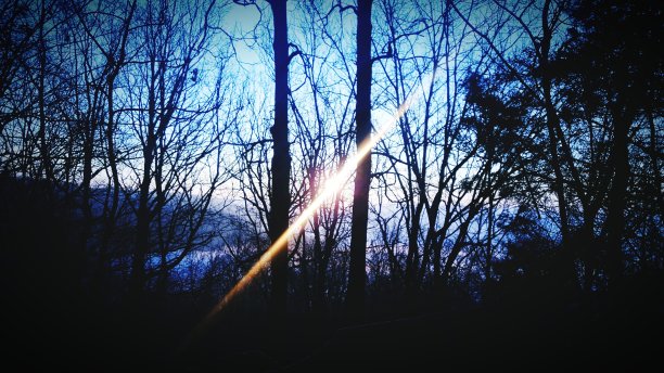 隐藏的美丽图片下载