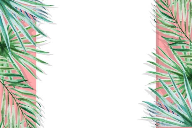 美丽的热带树叶框架。蓬莱蕉,手掌。水彩画。图片下载