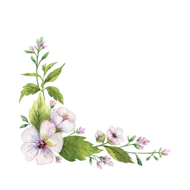 水彩手矢量绘制草甸植物花环。素材图片