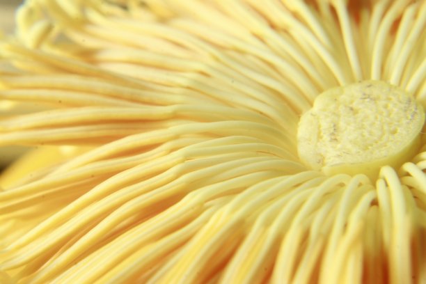 粉红色荷花的微距照片。近距离的花照片与复制空间的文字或广告。背景是粉色的莲花花蕊，没有心皮图片下载