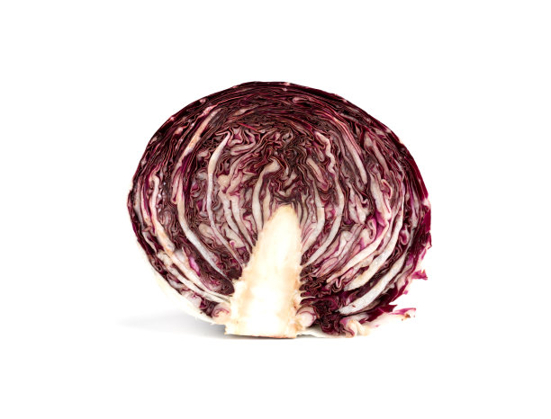 在白色背景上分离的菊苣。新鲜的菊苣沙拉，切成两半。图片下载