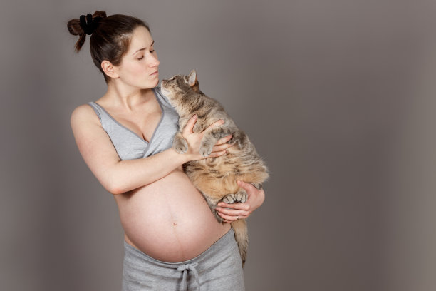 年轻孕妇穿着朴素的灰色套装，在肮脏的灰色背景下抱着一只猫。图片下载
