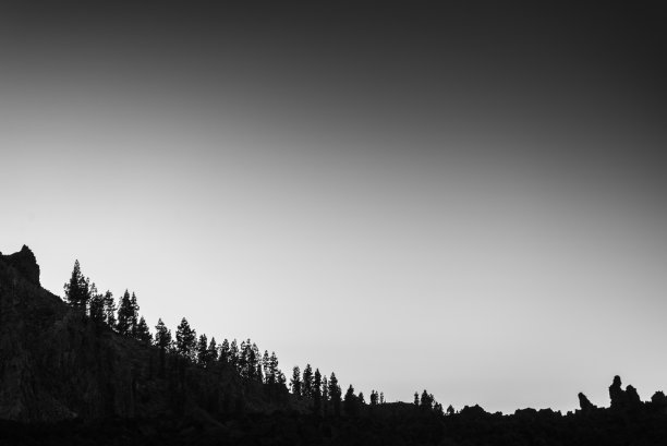 森林的剪影图片下载