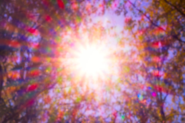 各种各样的树冠在春天的森林与蓝天的太阳。树的底部视图，自然的阳光辐射镜头票价与光谱为背景图片下载