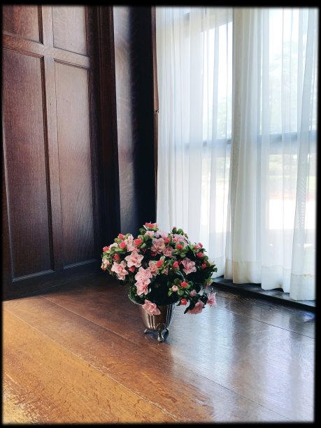 桌上的花图片下载