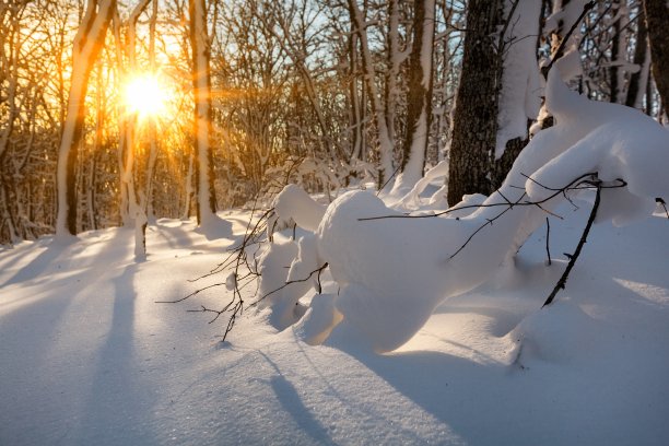 冬天。图片下载