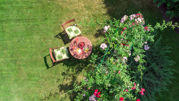 在美丽的玫瑰花园，用奶酪、草莓和葡萄酒装饰的桌子，从上面俯瞰浪漫的约会餐桌食物设置图片下载