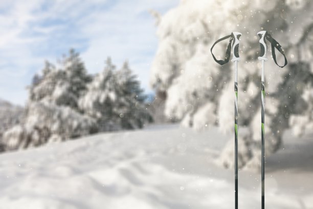 滑雪。图片下载
