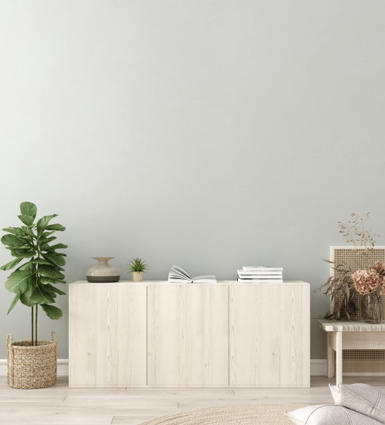 客厅内部的墙壁模拟。室内斯堪的纳维亚风格图片下载