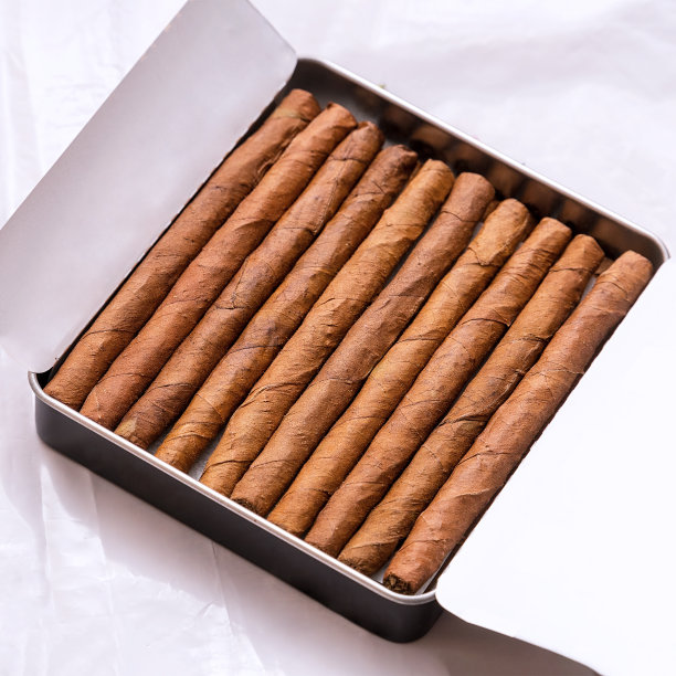 白色背景上的小雪茄盒图片下载