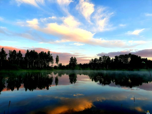 野生的湖泊图片下载