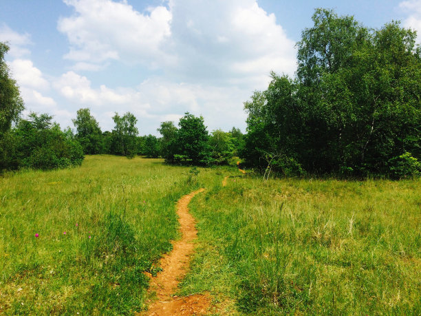 欧洲卢森堡的绿地图片下载
