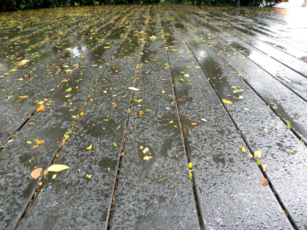雨后潮湿的木地板纹理图片下载