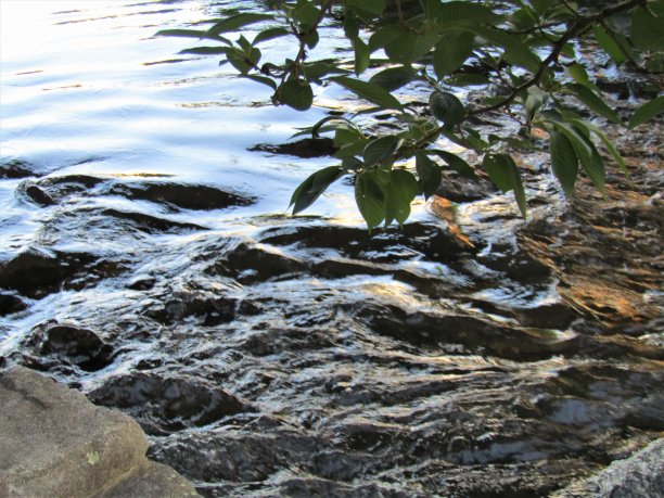 位于松本市市中心的梅多巴河。日落。2图片下载