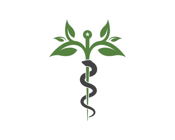 医学蛇病媒插图图片下载