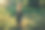时髦的时髦女孩在阳光灿烂的公园摆姿势，令人惊叹的阳光光束，大气的时刻。时尚清凉的女人在晚上放松和微笑。有选择性的重点。复古的效果。创意图片图片下载