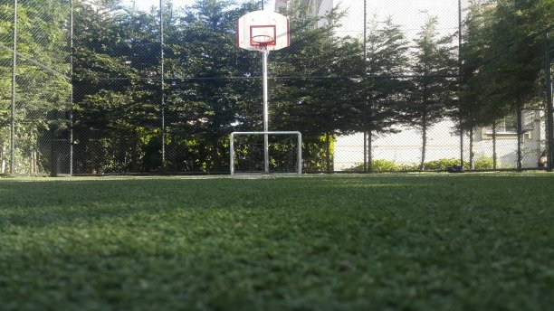 花园里的篮球场图片下载