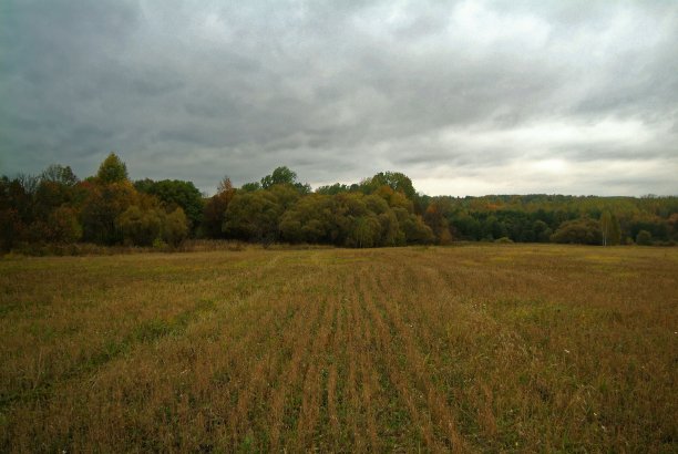 阴天的秋夜在乡下图片下载