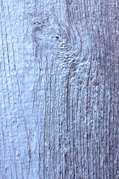 老木的背景图片下载