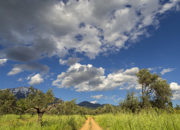 村庄橄榄园和天空与云彩的全景图片下载