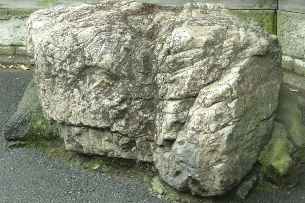 展出的岩石物品图片下载