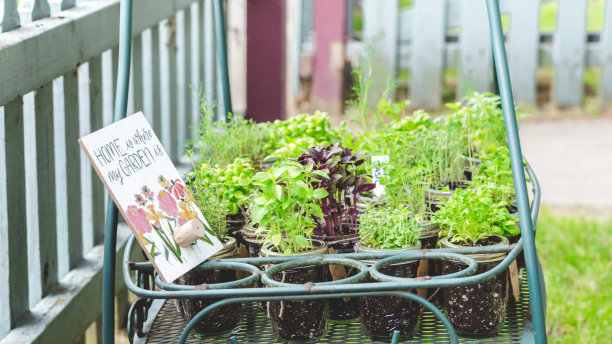 新鲜后院花园香草车图片下载