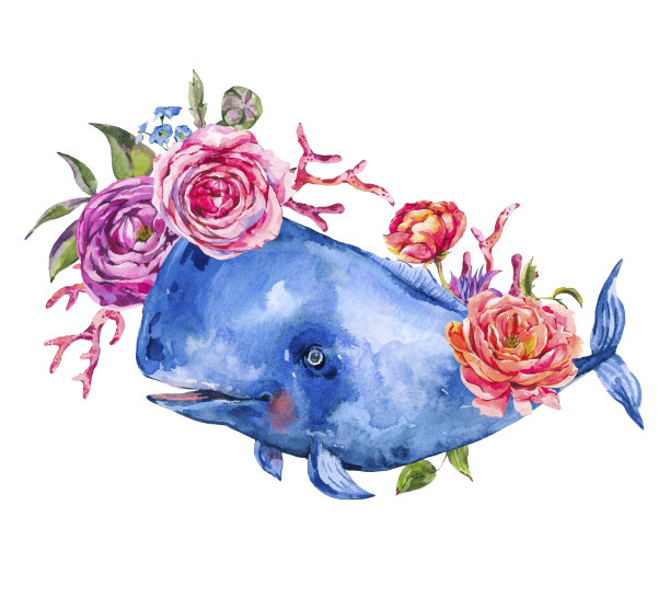 水彩蓝鲸与玫瑰，海葵，夏季花，红珊瑚。图片下载