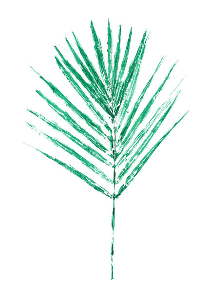 孤立的绿色棕榈叶水彩，植物插图在白色的背景图片下载