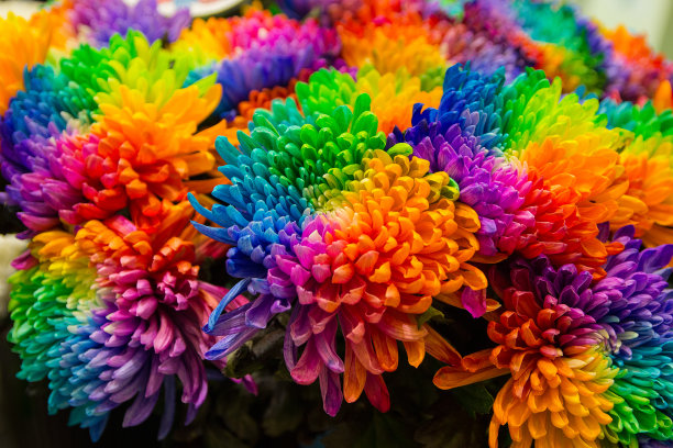 商店橱窗上的彩色花朵特写图片下载